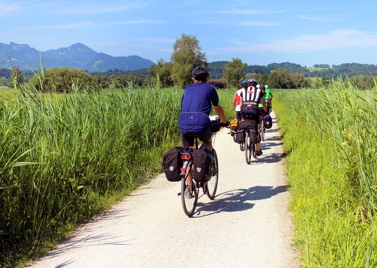 cyclist, to go biking, bicycle-847896.jpg